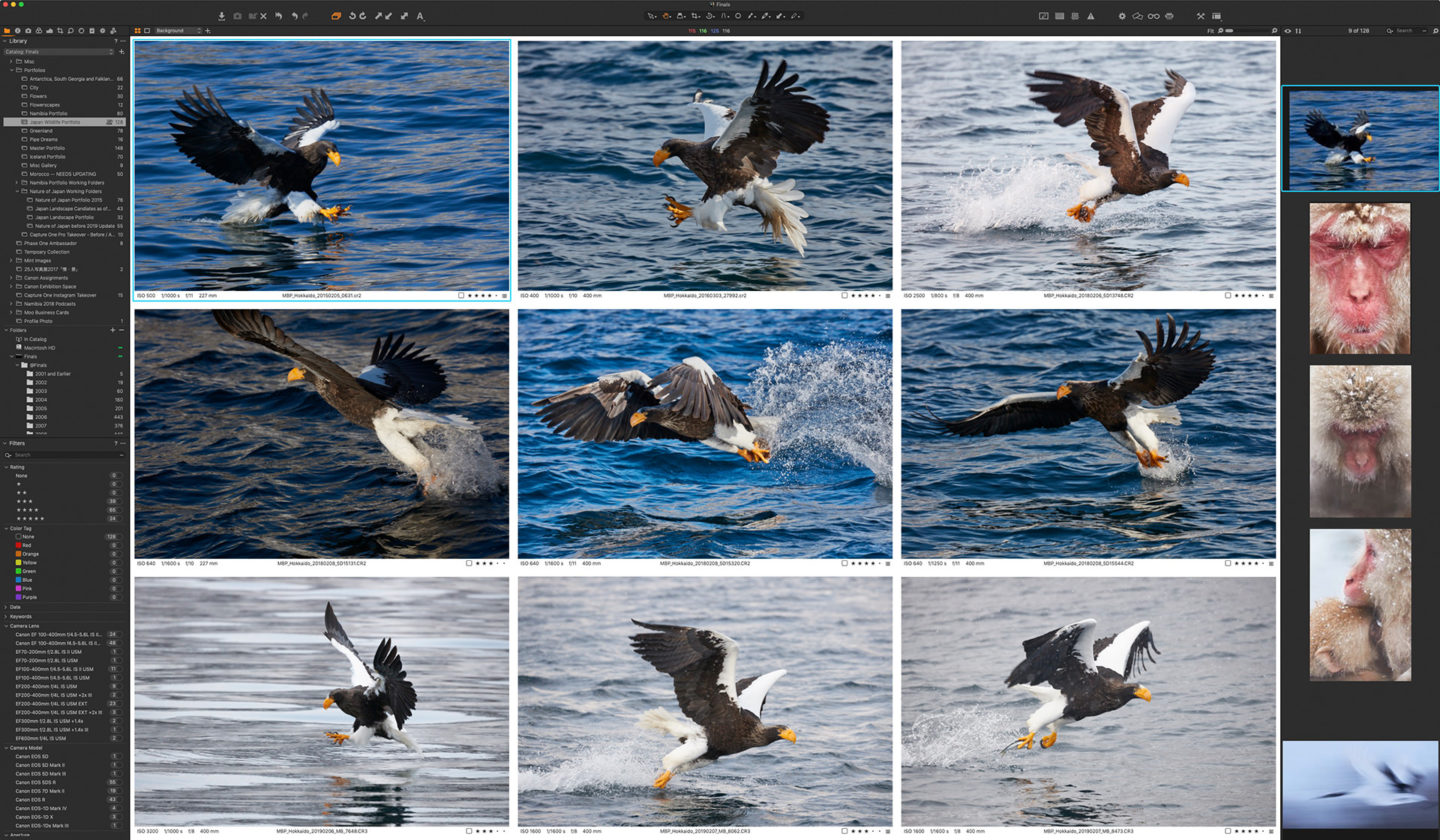 Sea Eagle Selection Process