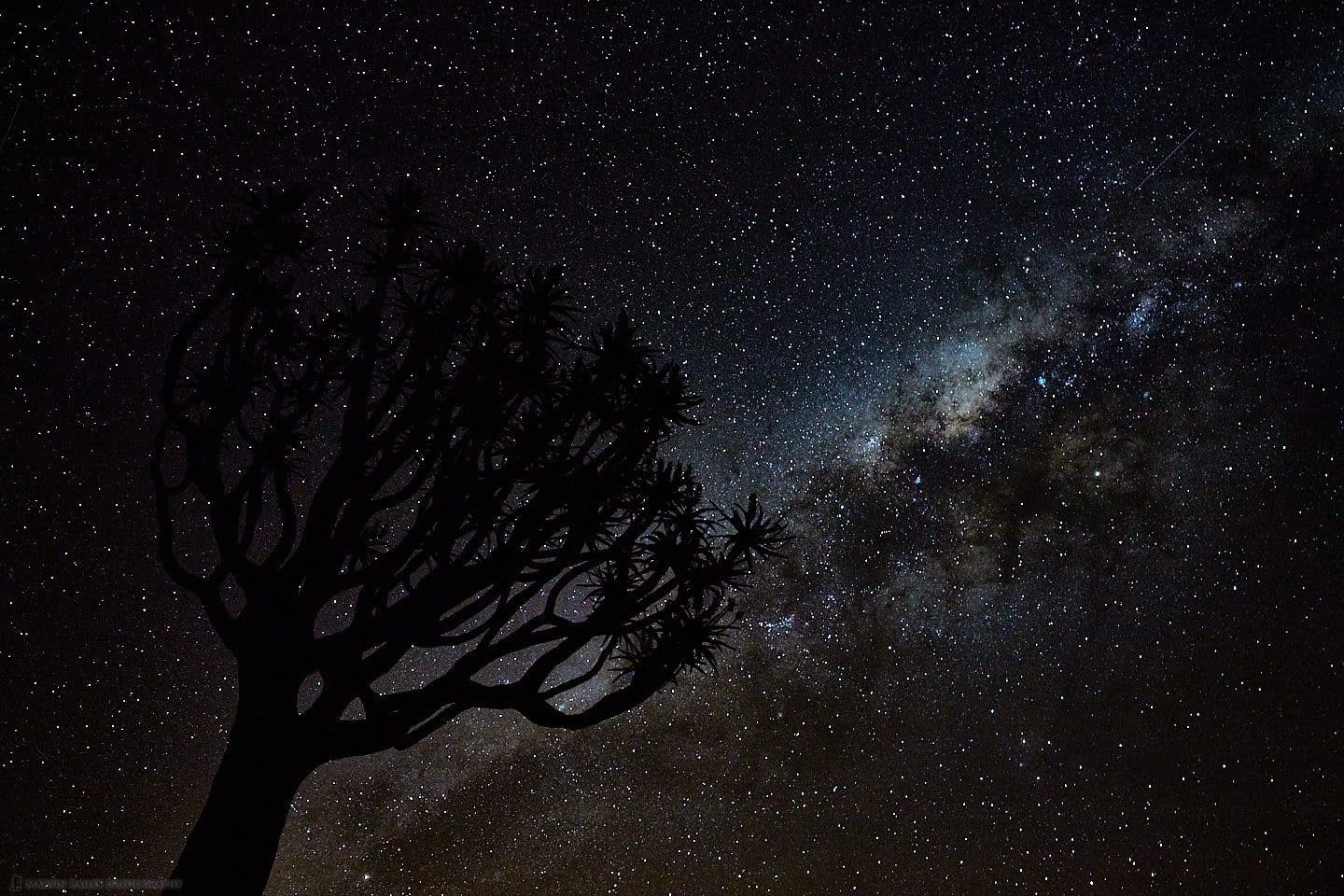Quiver Tree and Milky Way
