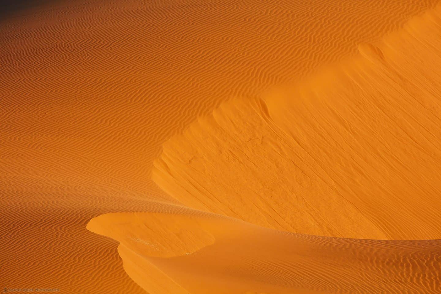 Intimate Dune #35