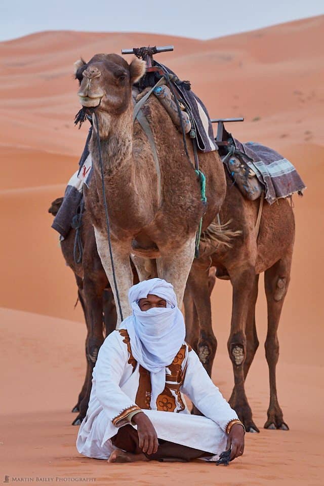 Camel Handler with Camels