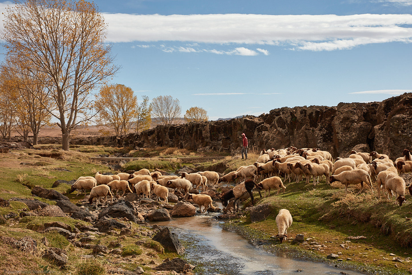 Shepherd with Sheep and Mountain Stream