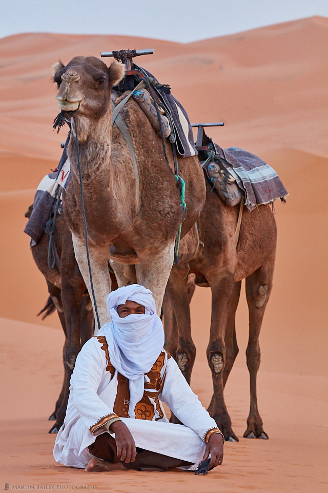 Camel Handler with Camels