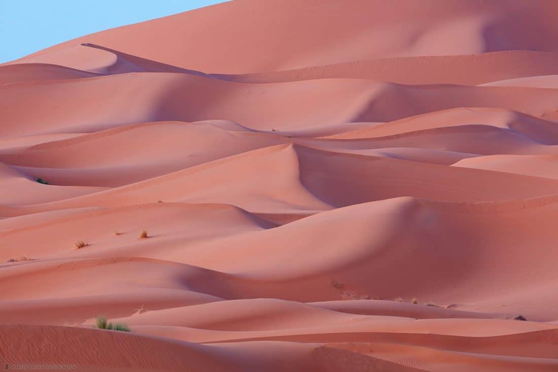 Sahara Dunes at Dawn
