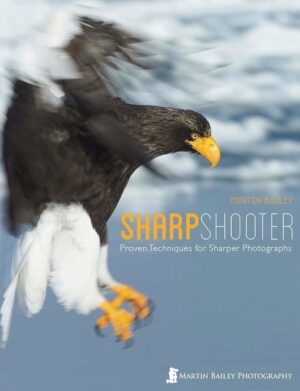 Sharp Shooter Cover