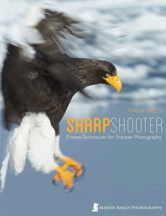 Sharp Shooter Cover