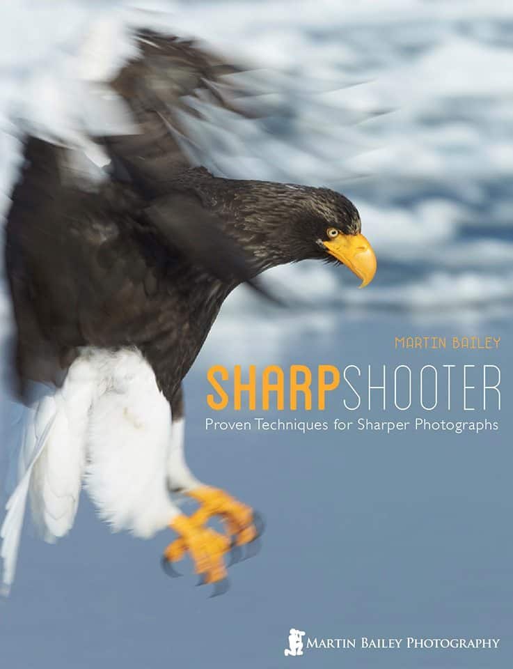 Sharp Shooter – Proven Techniques for Sharper Photographs