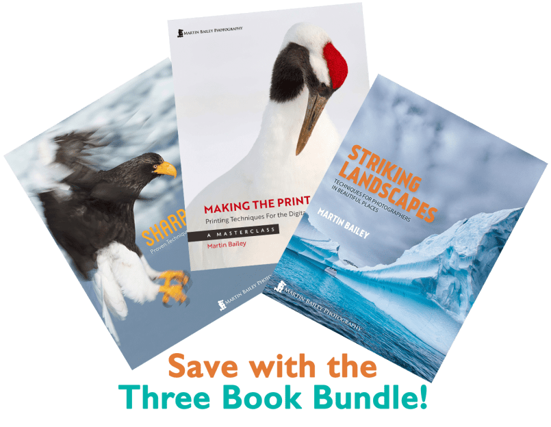 Three Book Bundle