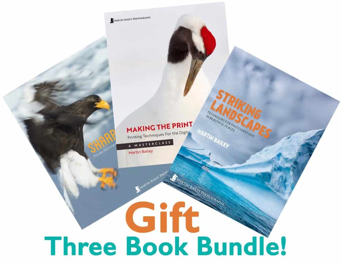 Three Book Bundle Gift