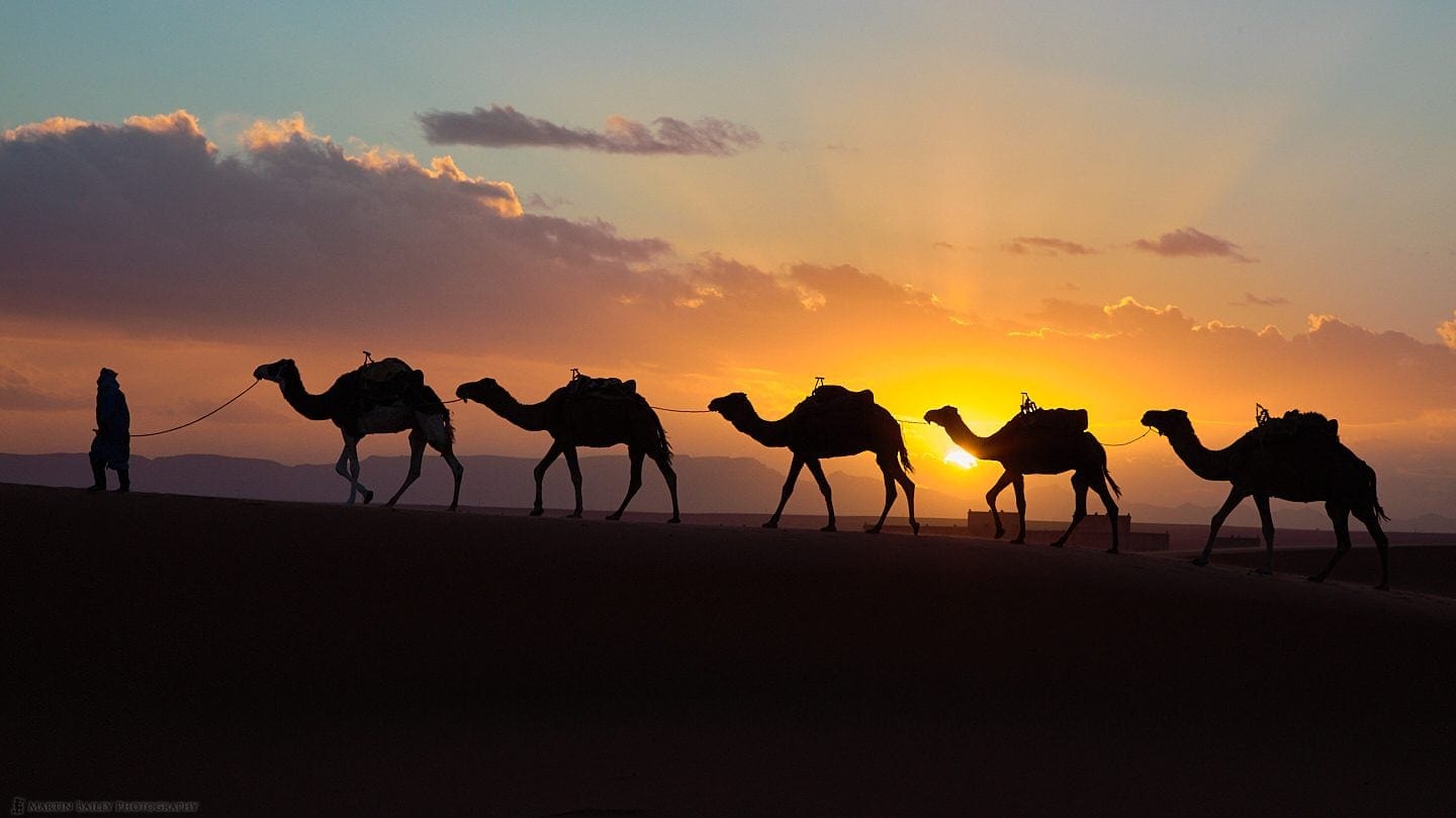 Camel Sunset with Kasbah