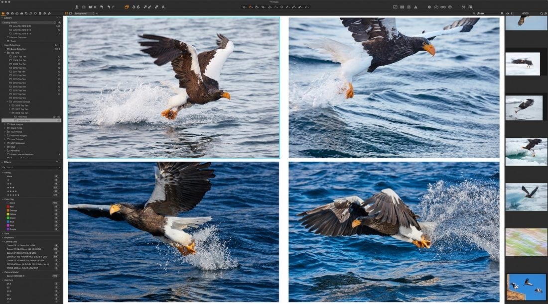 Four Eagles in Multi View