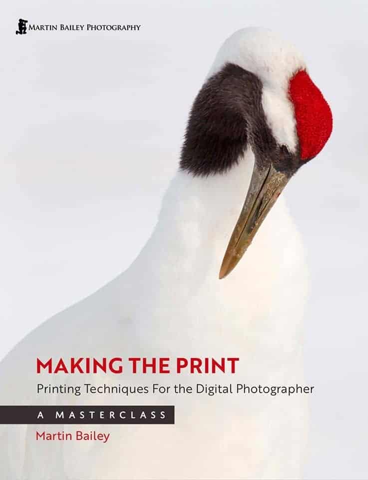 Making the Print – Printing Techniques for the Digital Photographer