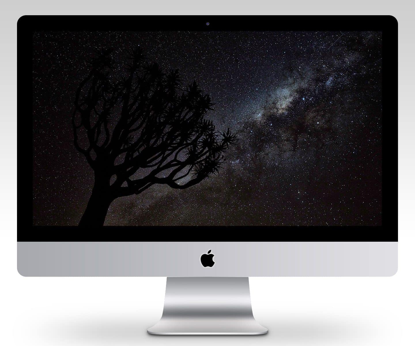 Quiver Tree and Milky Way Wallpaper