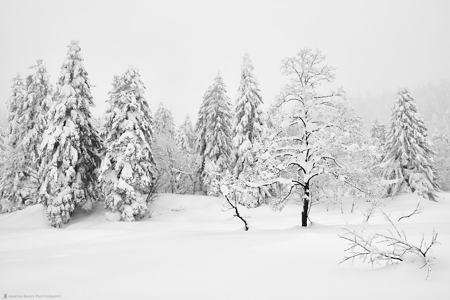 Mount Asahi Winter Wonderland