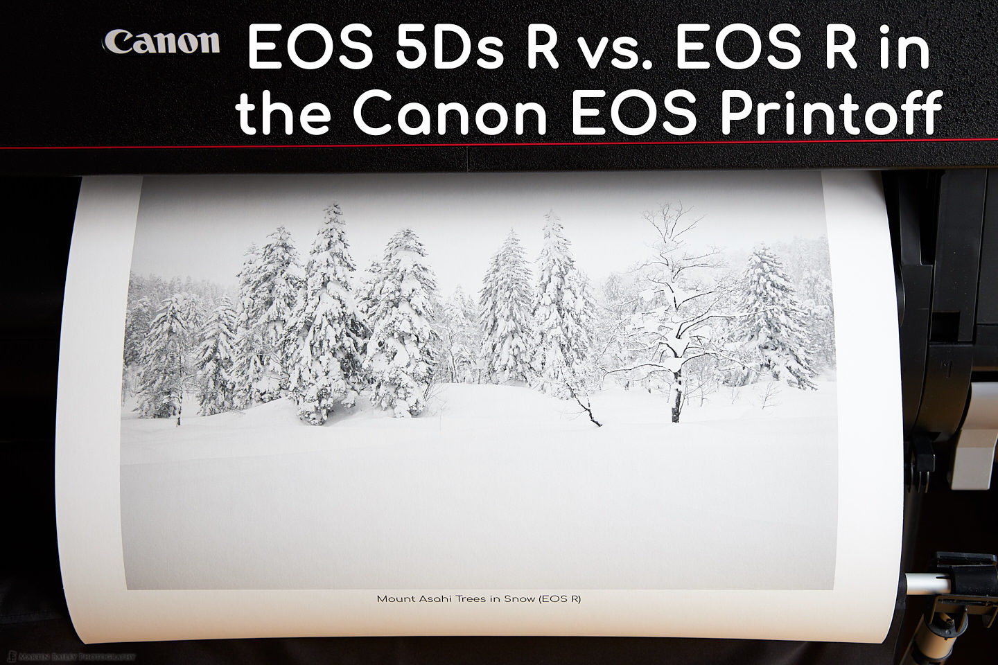 Canon EOS 5Ds R vs. EOS R Printoff