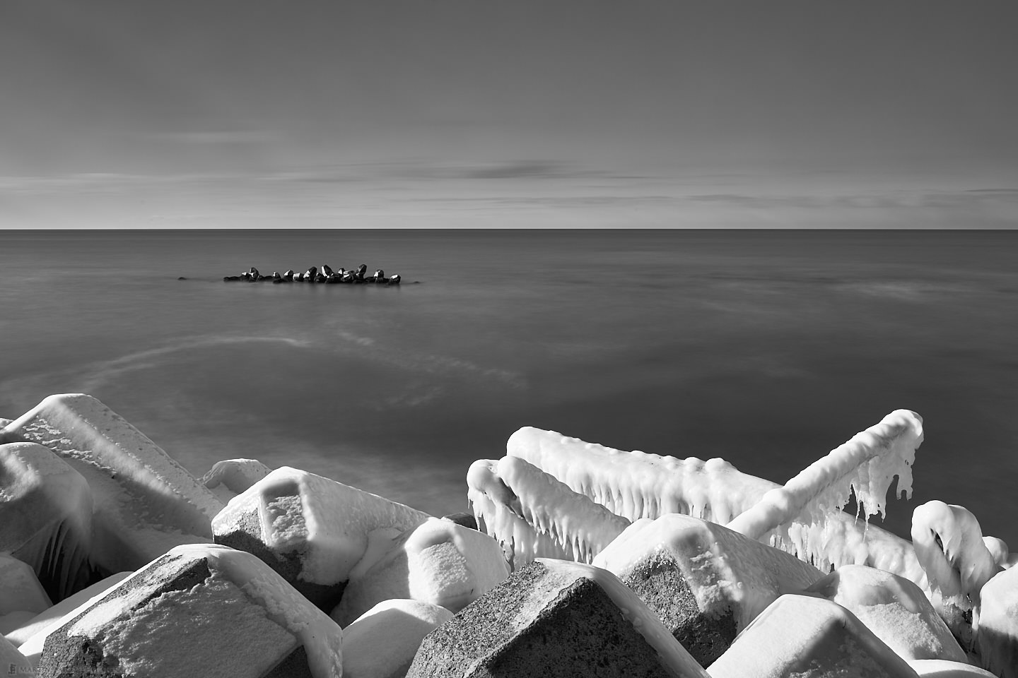 Frozen Logs and Tetrapods