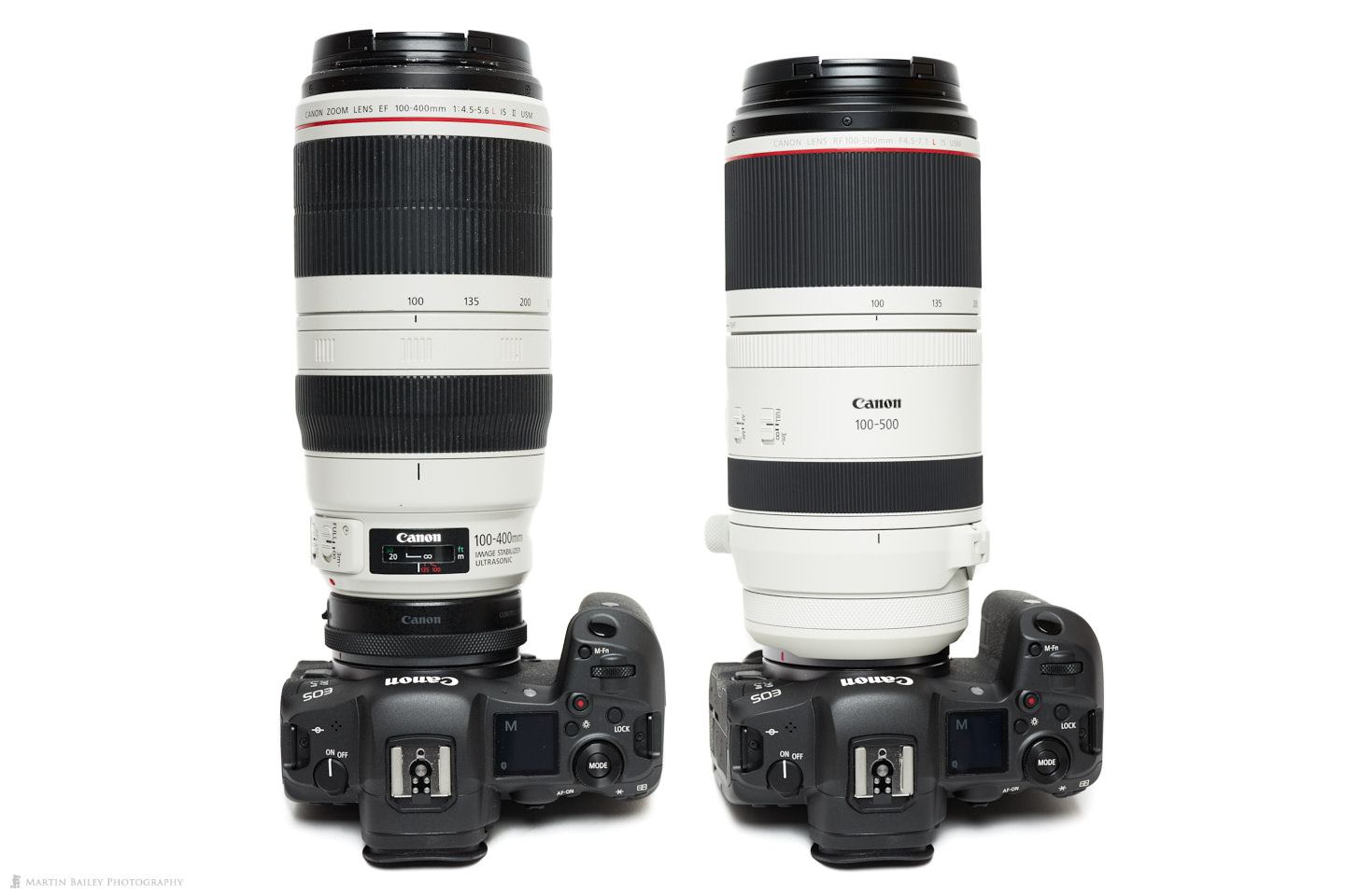 Canon RF 100-500mm Compared with EF 100-400mm Mark II Lens