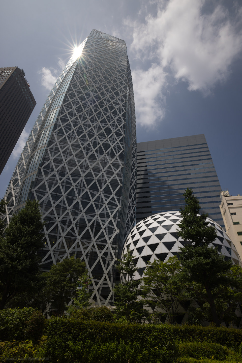The Cocoon Building in Shinjuku (DNG)