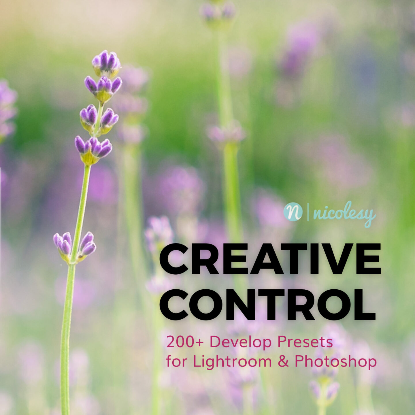 Nicolsey Creative Control & Creative Control II - 1