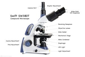 Swift SW380T Compound Microscope
