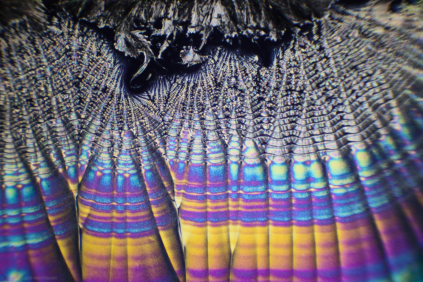 Rainbow Equator (Polarized Ascorbic acid 40X 28 Frames)