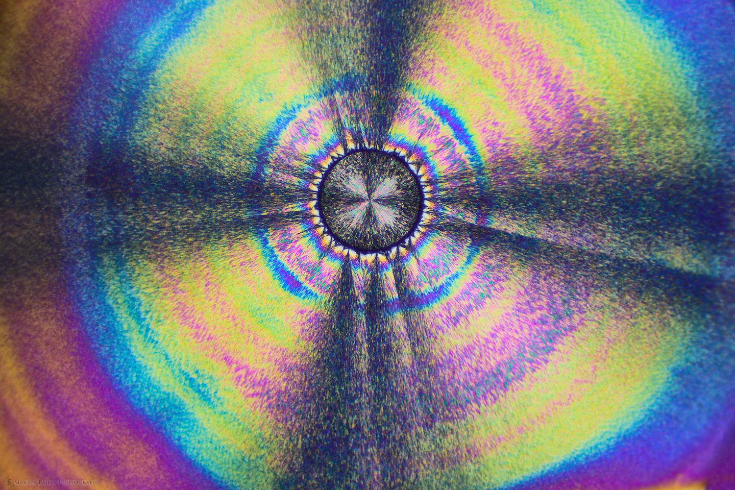 Radial Rainbow (Polarized Ascorbic acid 400X 22 Frames)