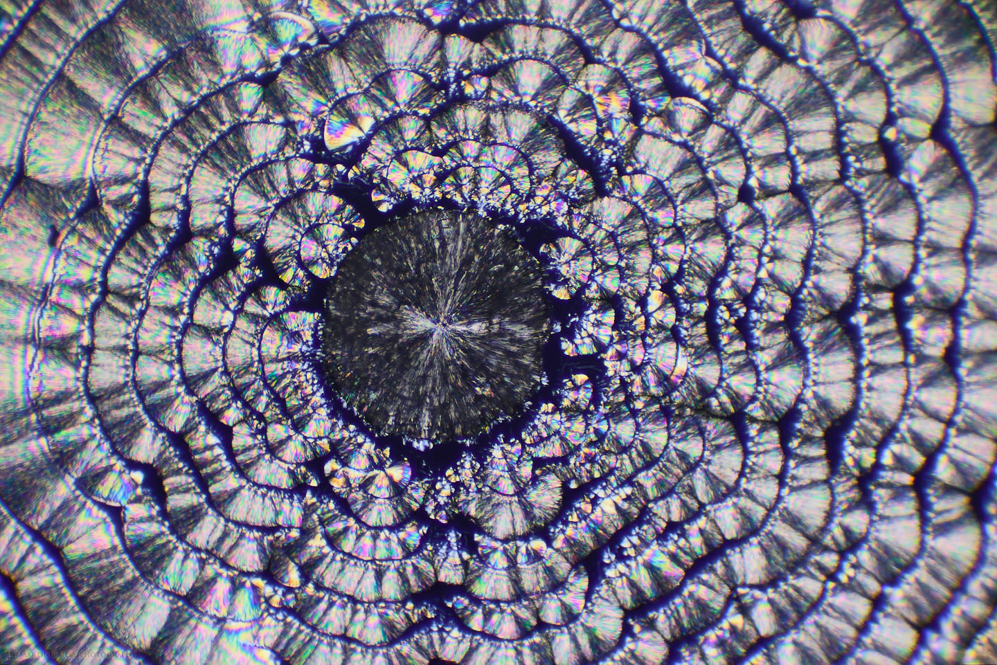 Steely Truffle (Polarized Ascorbic acid 100X 19 Frames)