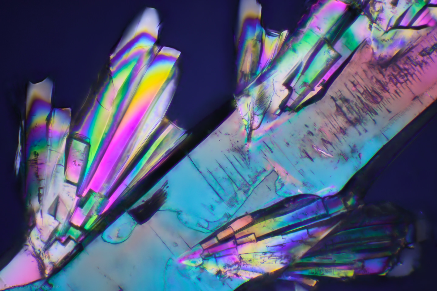 Crystal Branches (Polarized Sodium sulfite 100X 26 Frames)