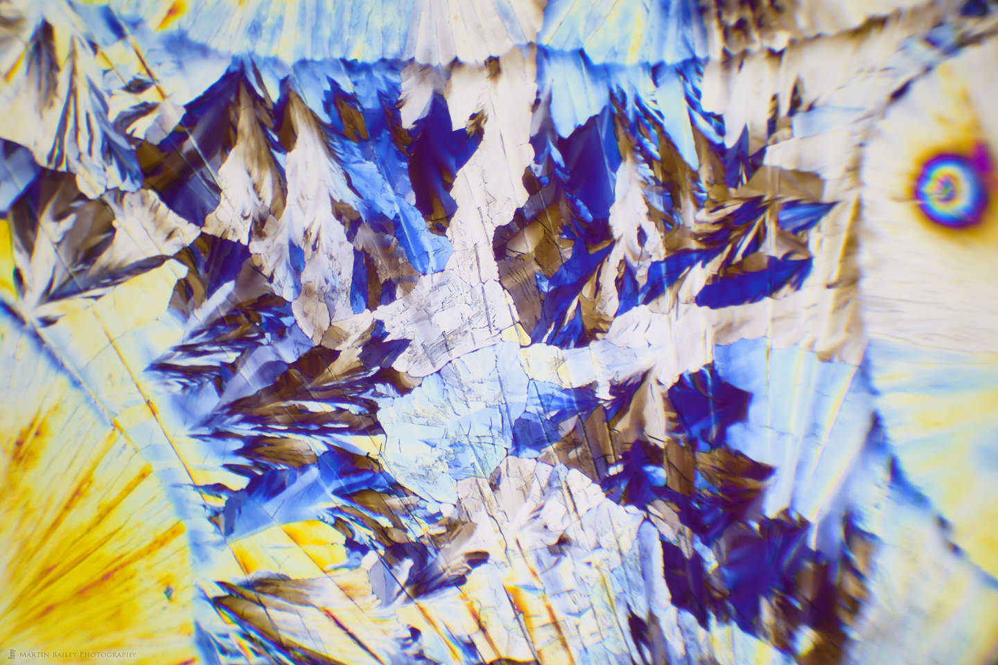 Ainu Dream (Citric Acid Crystals 40X 18 Frames)