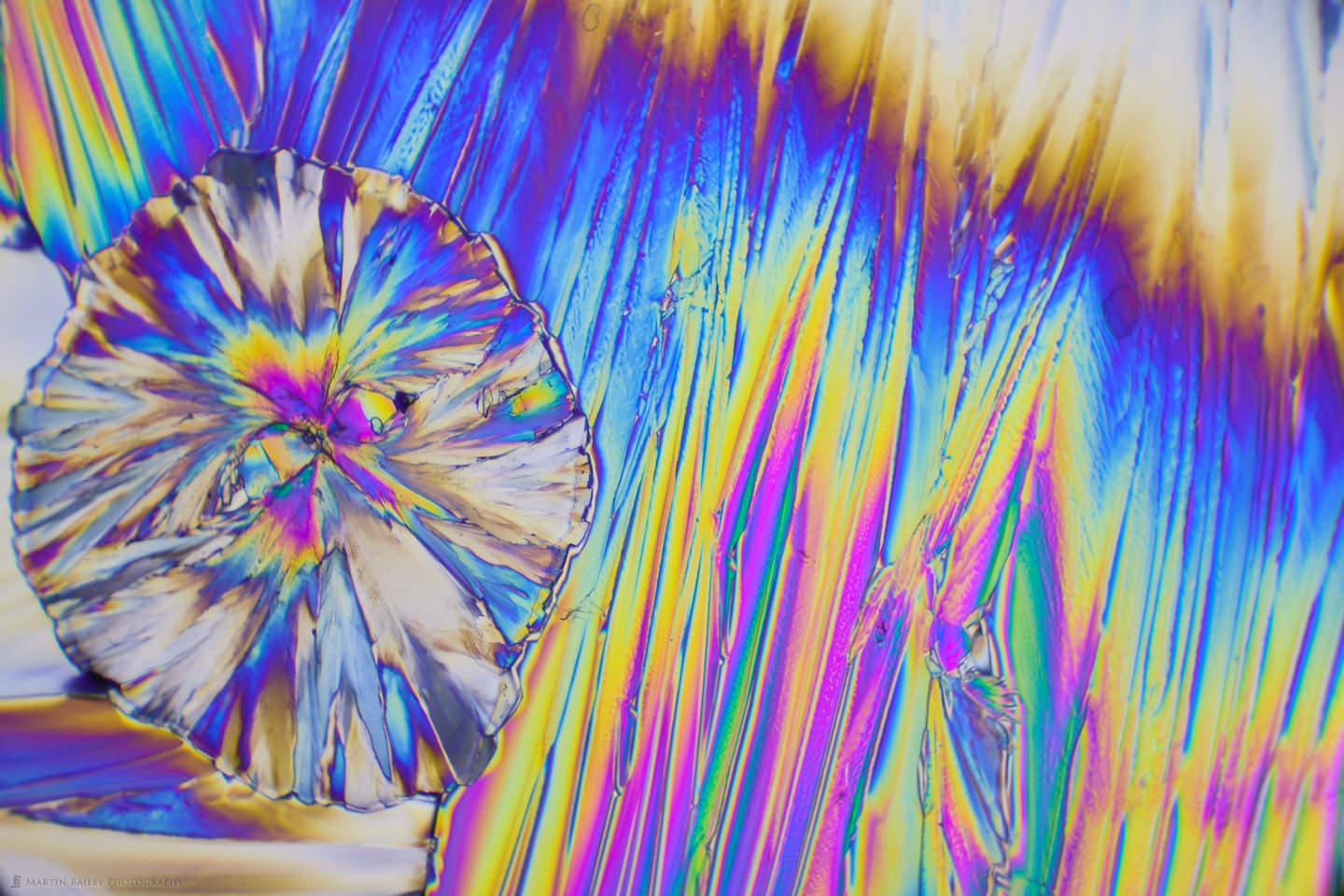 Rainbox Island (Polarized Citric Acid Crystals 100X)