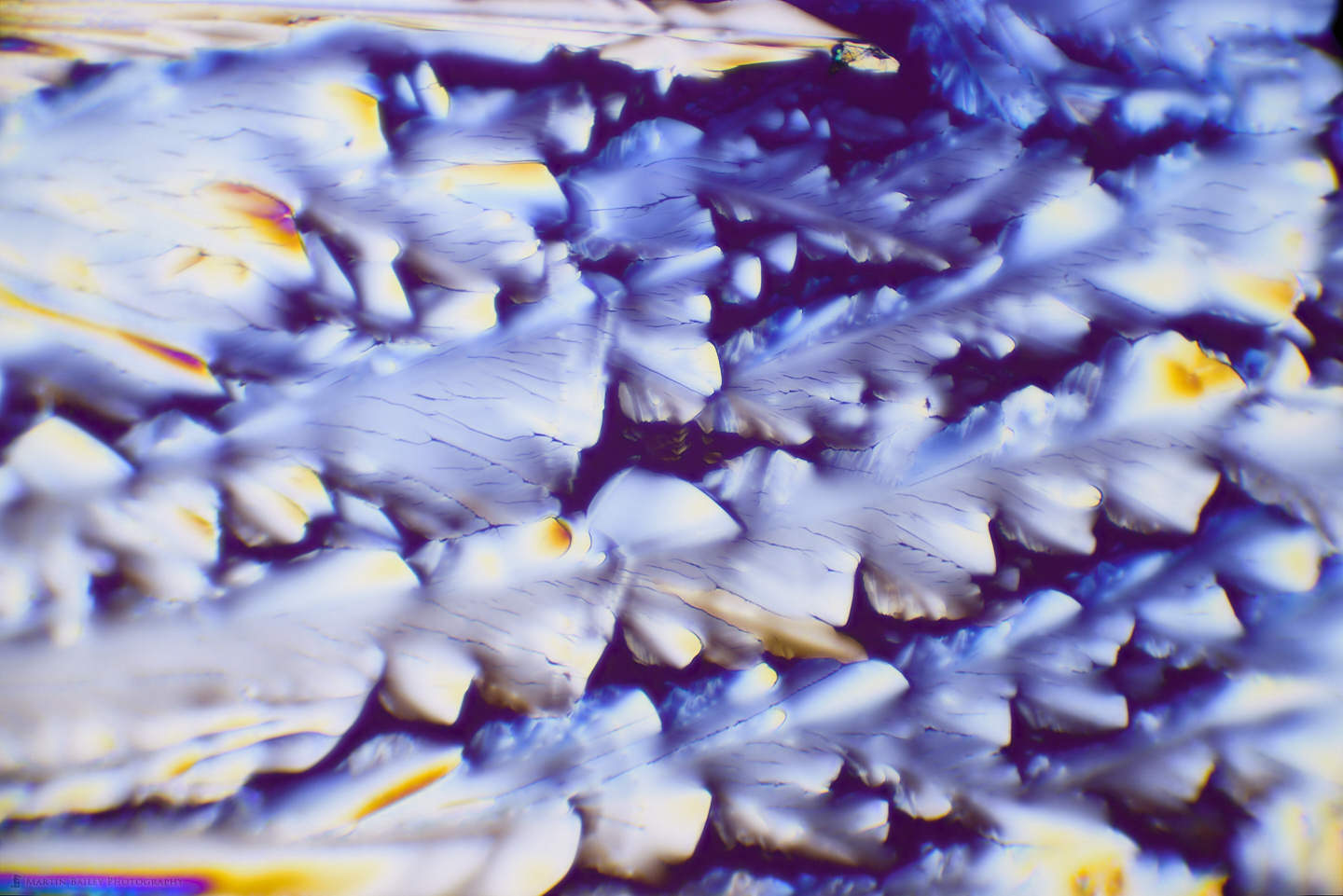 Feather Flowers (Citric Acid Crystals 100X 7 Frames)