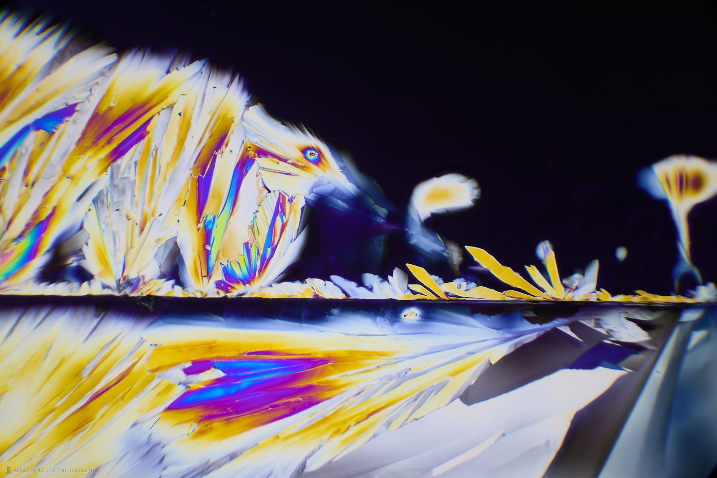 Foxy Alien (Polarized Citric Acid Crystals 40X)