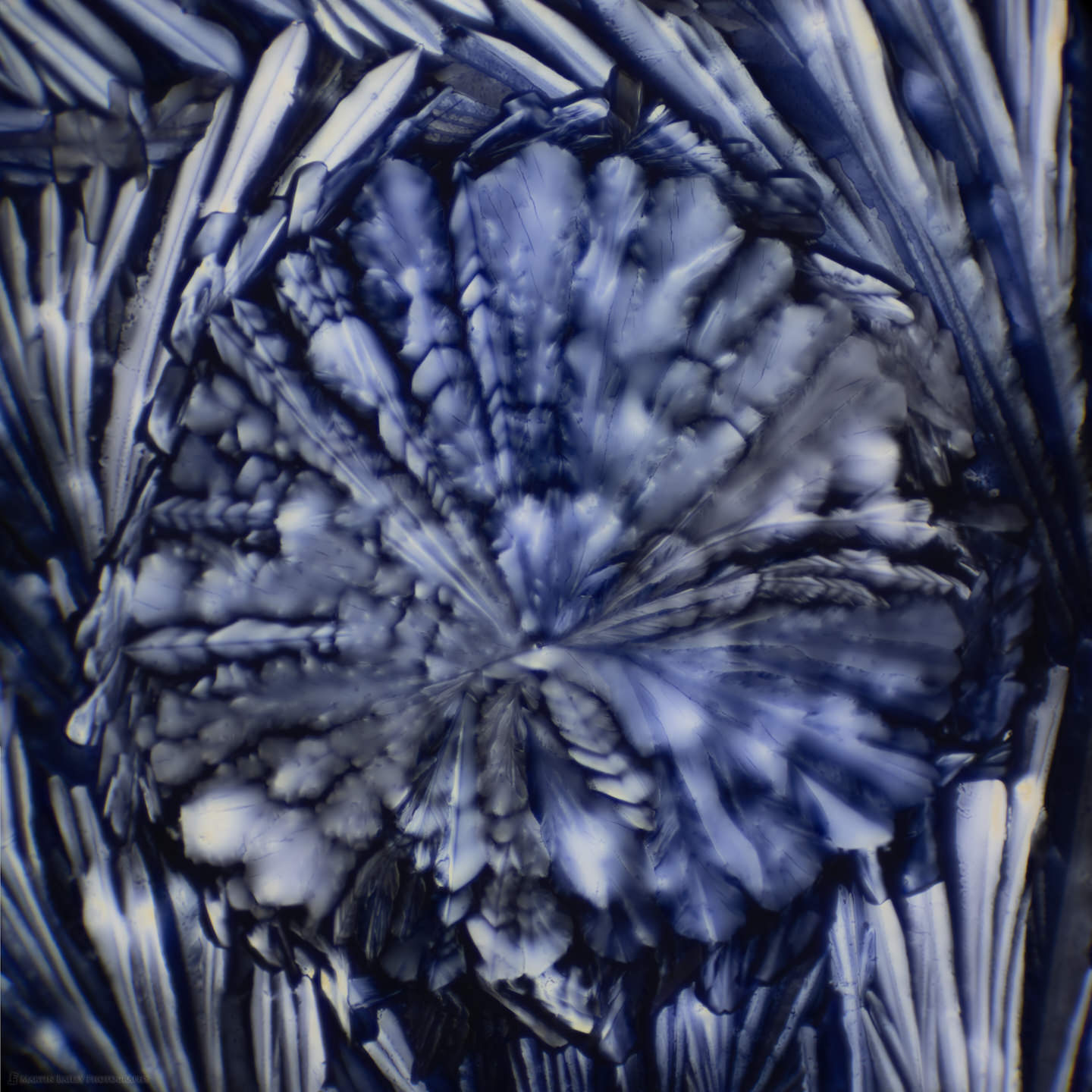 Feather Wreath (Citric Acid Crystals 2 Photo Stitch 100X 10 Fram