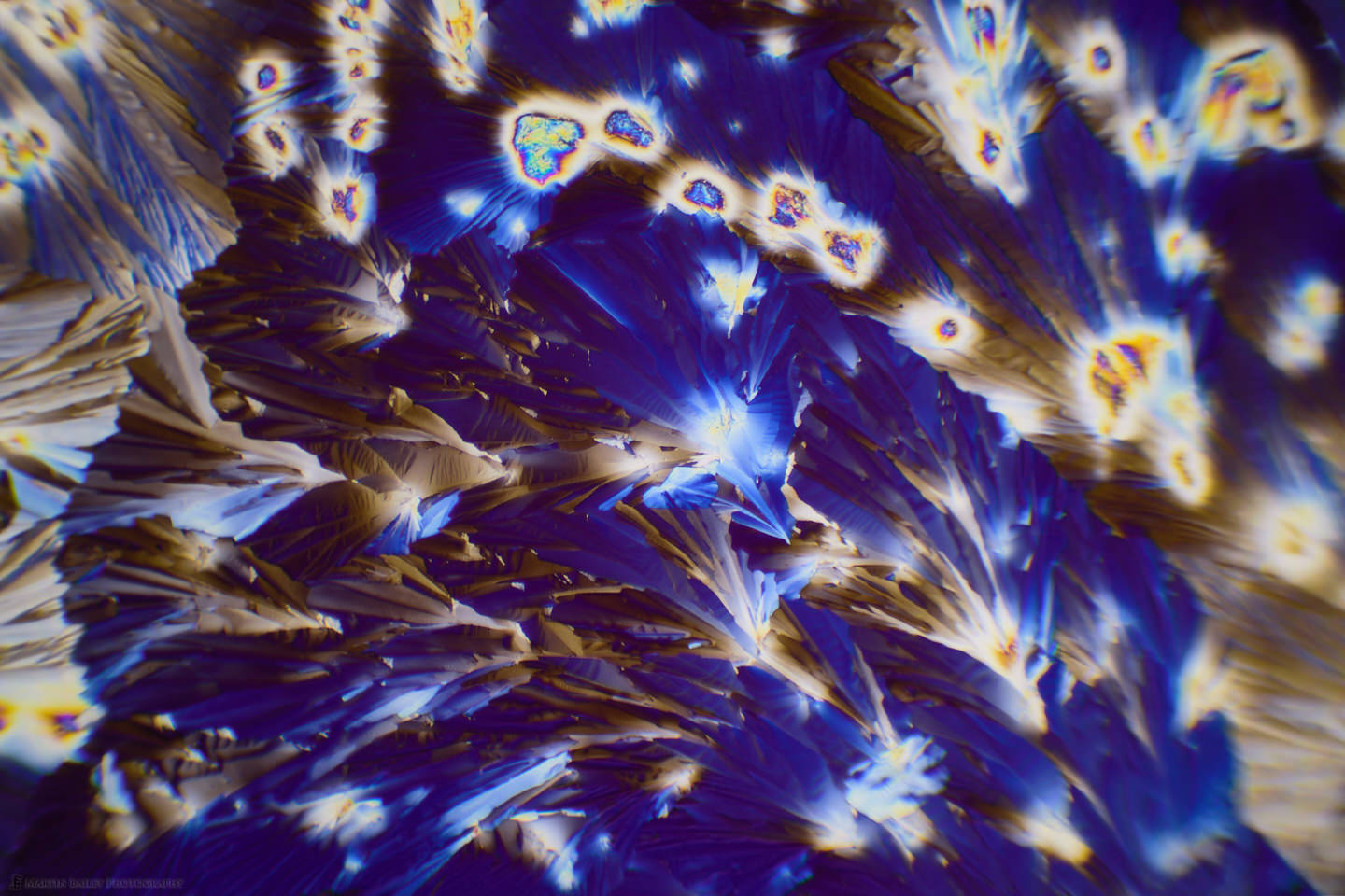 Flock (Citric Acid Crystals 40X 14 Frames)