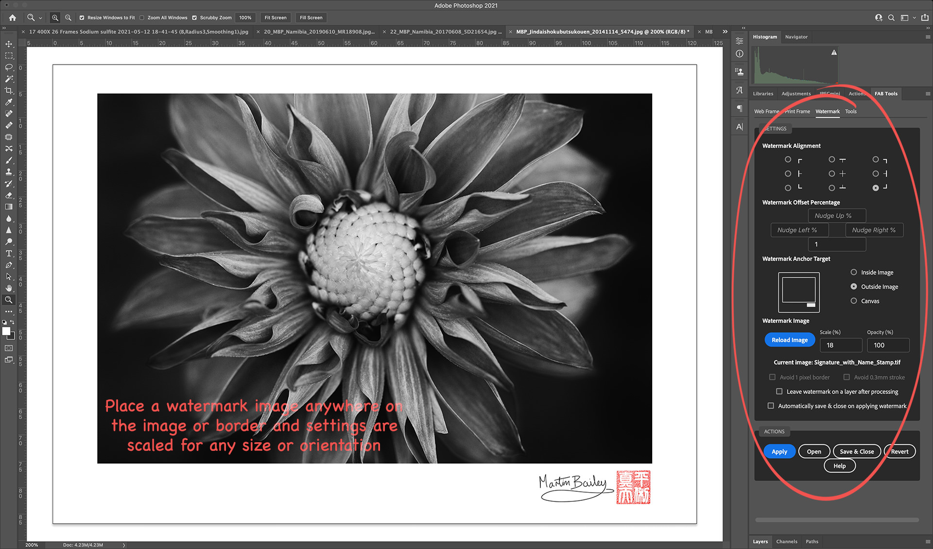 Martin Bailey Photography | MBP Fine Art Border Tools Plugin for Adobe