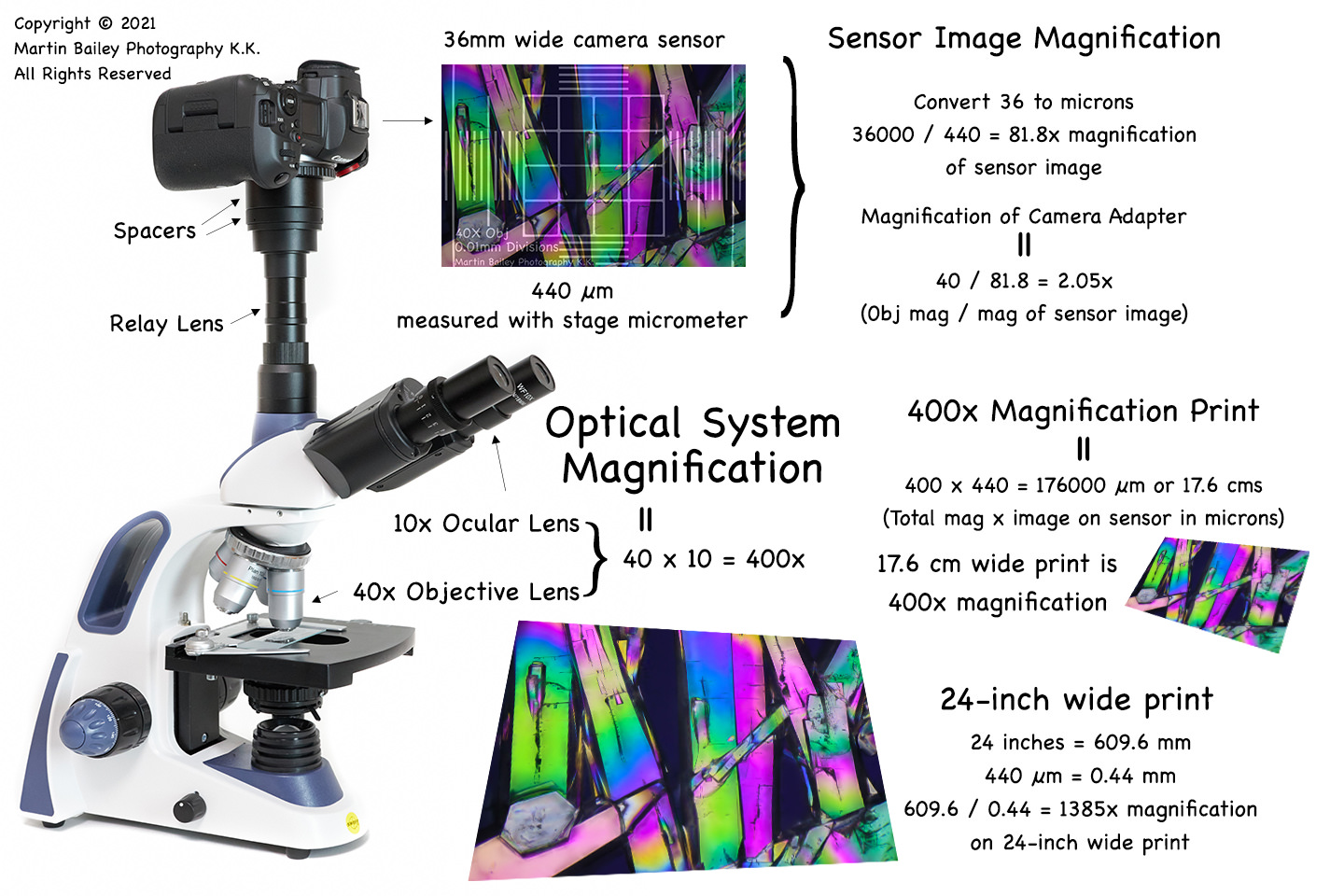 Microscope Calibration, Micrometry and Magnification (Podcast 746)