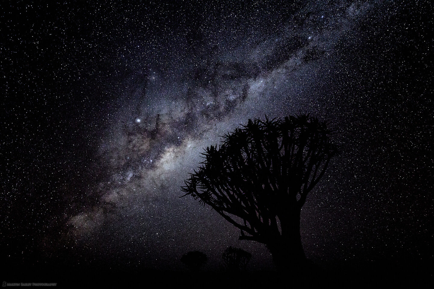 Original - Quiver Trees and Milky Way with Jupiter