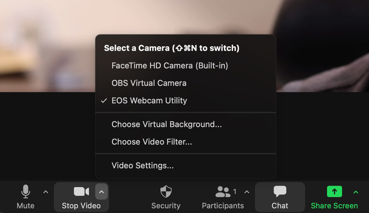 EOS Webcam Utility in Zoom