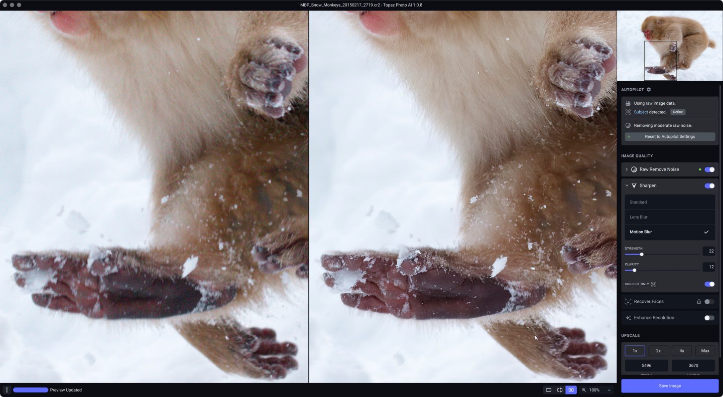 Snow Monkey Sharpened Foot