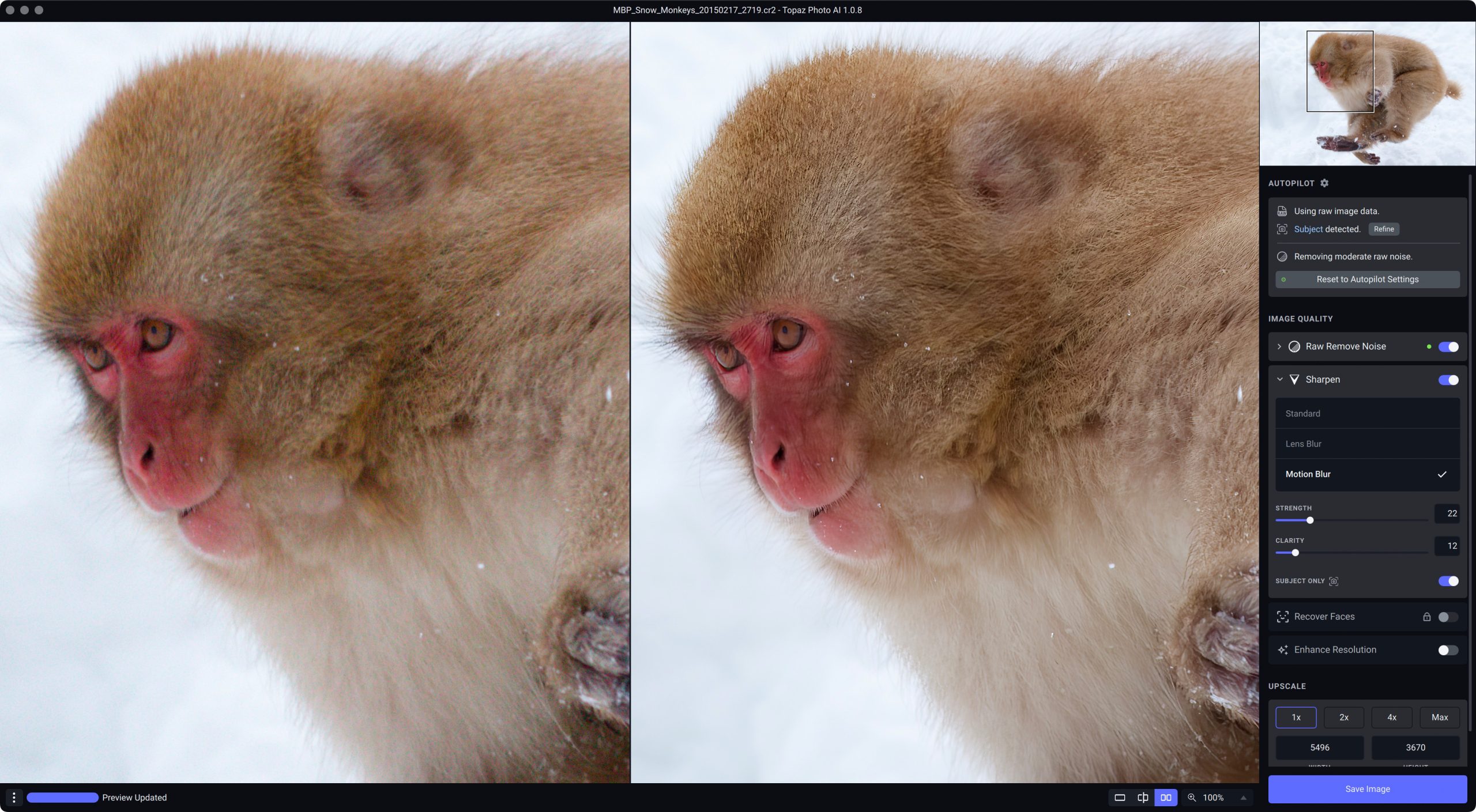 Snow Monkey Sharpened in Topaz Photo AI