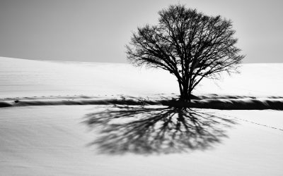 Hokkaido Winter Landscape Tour 2023 Part 1 (Podcast 802)