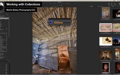 Working with Collections (Podcast 823)