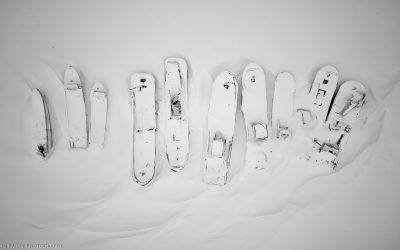 Hokkaido Winter Landscape Adventure 2024 (Podcast 834)