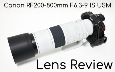 Canon RF200-800mm F6.3-9 IS USM Lens Review (Podcast 836)