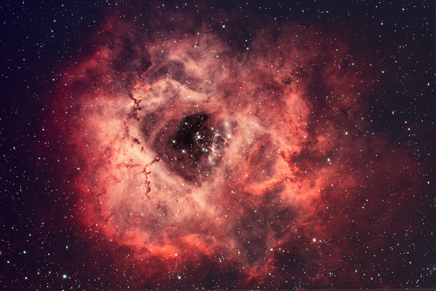 The Rosette Nebula