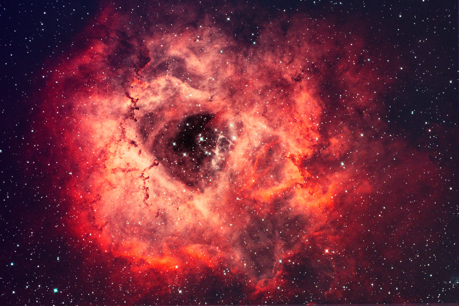 The Rosette Nebula (NGC 2244)
